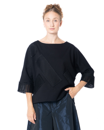 IGOR, top HADAR with mesh details