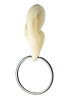 Parts of Four, Hoop Earring v2